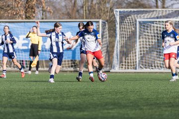 Bild 121 - wBJ Hamburger SV - Hertha BSC : Ergebnis: 2:1